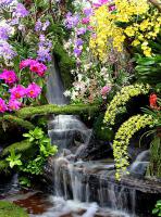 Фотообои Водопад в цветах, 2 х 2.7 м