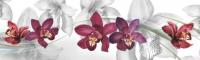 Фартук кухонный ABS Орхидея, 3000 х 600 х 1.5 мм, 1.8 м2